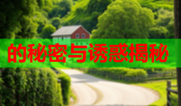 的秘密与诱惑揭秘