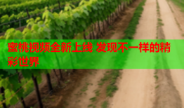 蜜桃视频全新上线 发现不一样的精彩世界