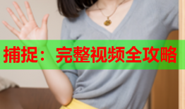 捕捉：完整视频全攻略