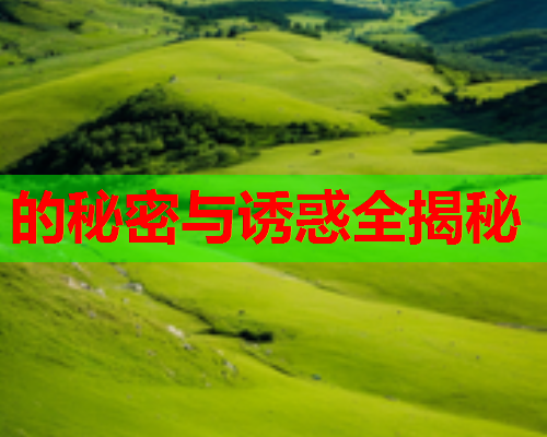 的秘密与诱惑全揭秘