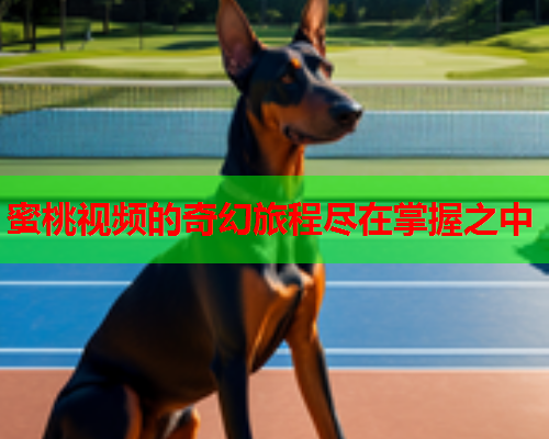 蜜桃视频的奇幻旅程尽在掌握之中